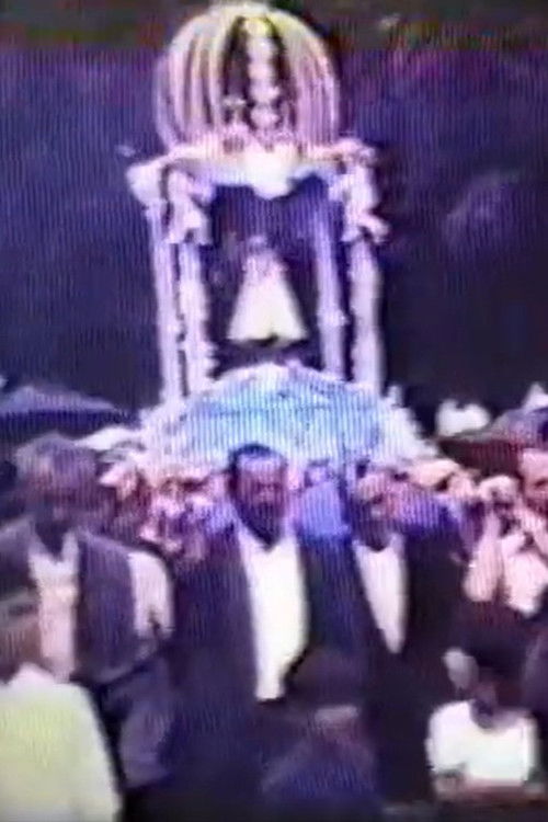 Aparição da Virgem do Rocio poster