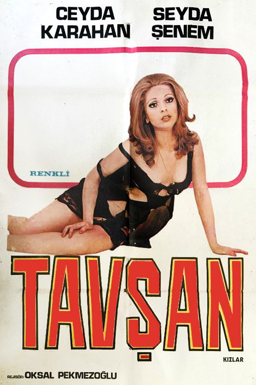 Rabbit Girls (1976) poster