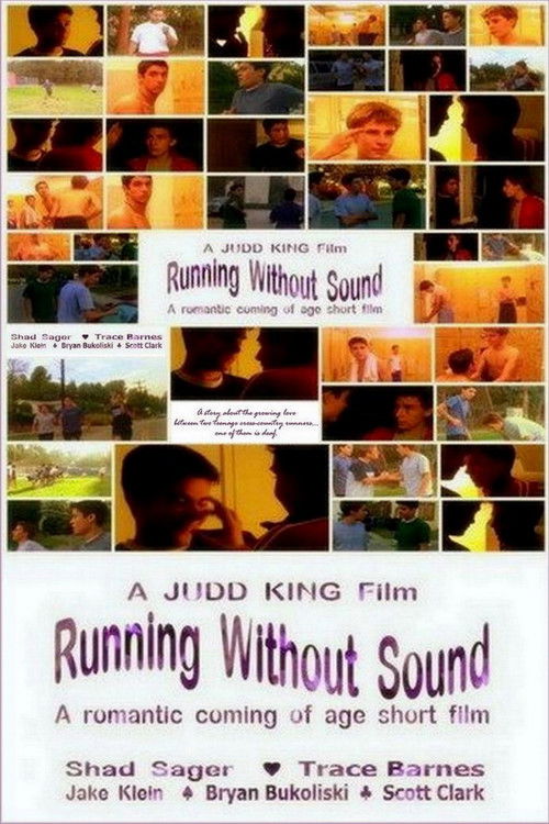 Running Without Sound (2004) poster