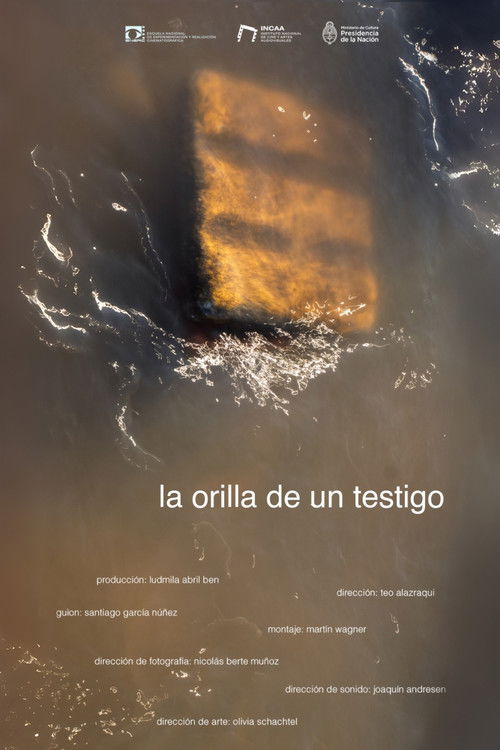 La orilla de un testigo (2025) poster