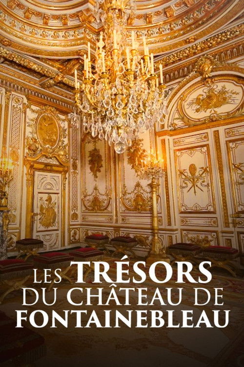 Les trésors du château de Fontainebleau (2024) poster