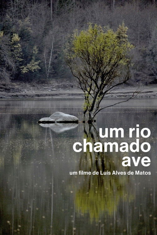 Um Rio Chamado Ave (2012) poster