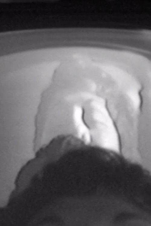 On Screen (1972) poster