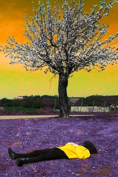 Filmisches Selbstportrait (2024) poster