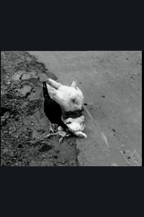 The Delmarva Chicken of Tomorrow (2002) poster