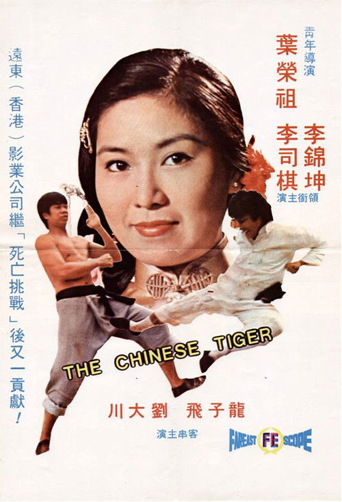 The Chinese Tiger (1974) poster