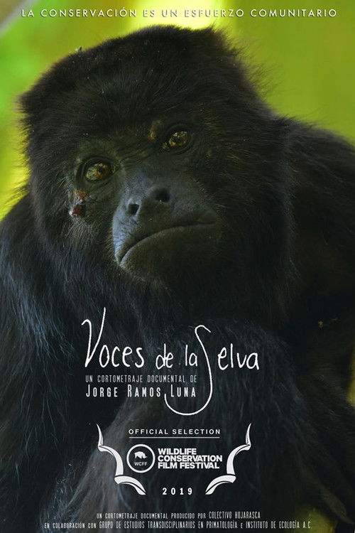 Voces de la Selva (2019) poster