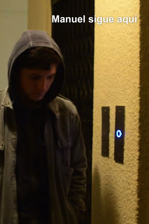 Manuel sigue aquí (2017) poster