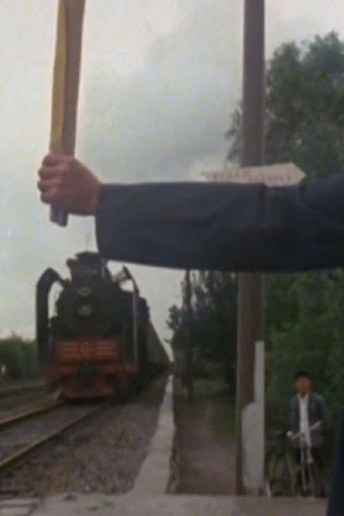 Gui Daò - Sur la voie - Une gare sur le Yangzi (1980) poster