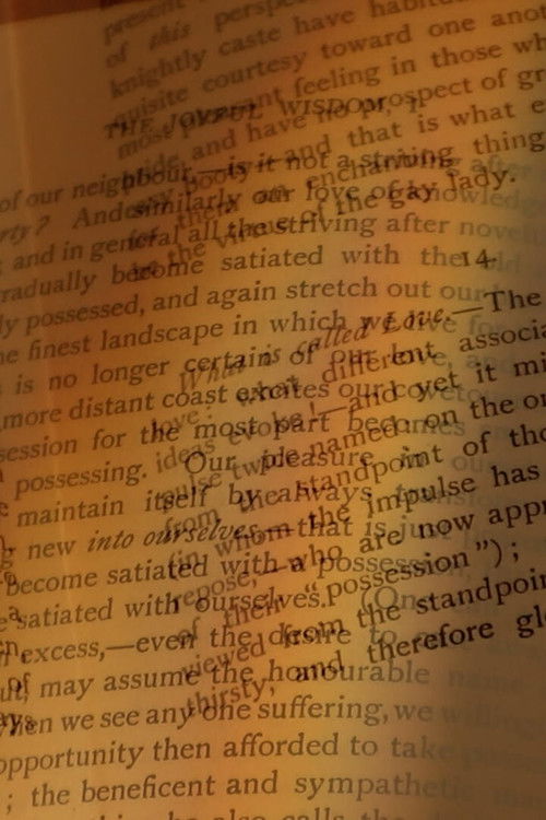 Images Out of Season (2021) poster