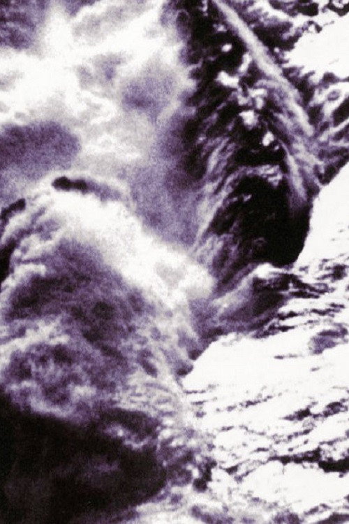 Looking at the Sea (2001) poster
