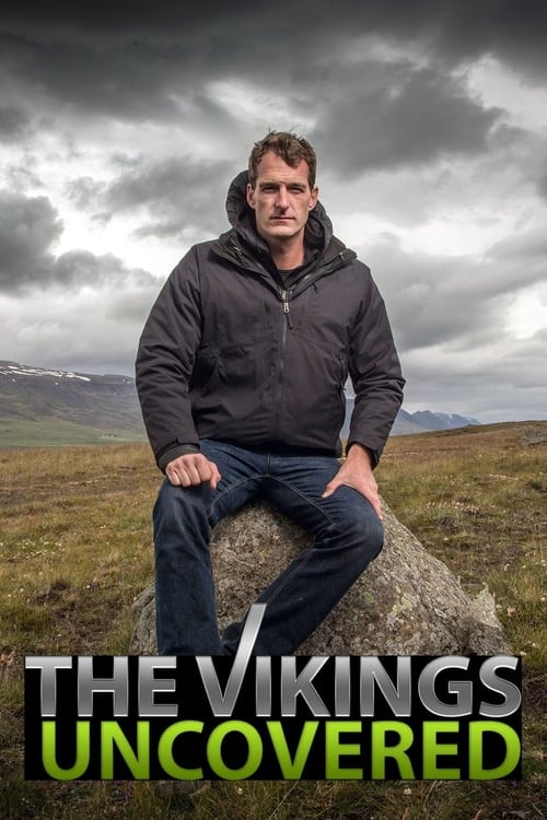 The Vikings Uncovered (2016) poster