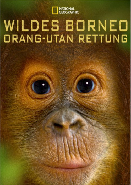Orangutan Rescue - Back to The Wild (2014) poster