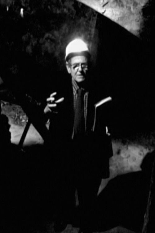 I Migliori Nani della Nostra Vita - Puntata zero (2016) poster