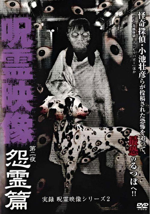 Jitsuroku Jurei Video Series 2: Jurei Video, Night 2: Grudge Spirit Arc (2009) poster