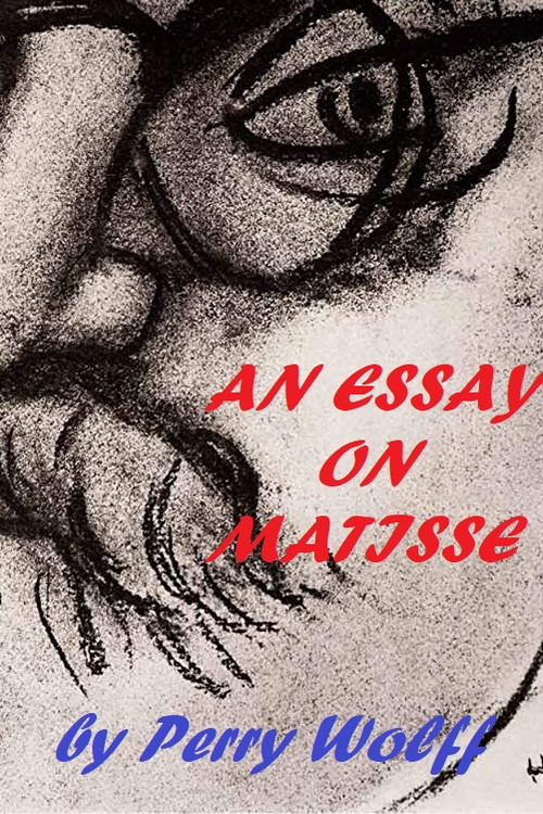 An Essay on Matisse (1996) poster