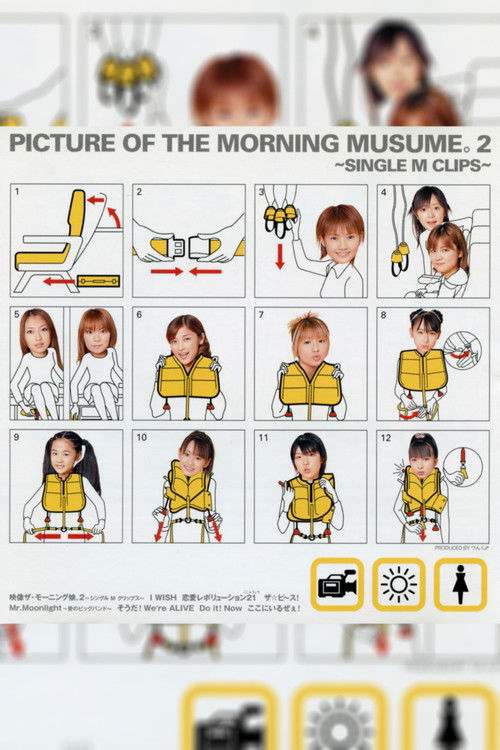 Eizouza・Morning Musume. 2 ~Single M Clips~ (2002) poster