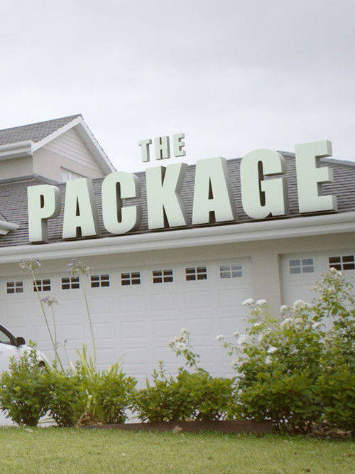 The Package poster