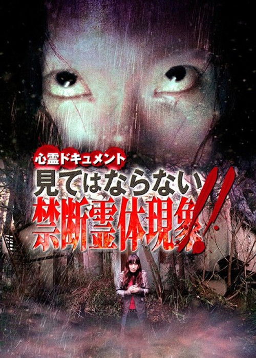 Psychic Documentary: Forbidden Spectral Manifestation - Do Not Watch!! (2009) poster