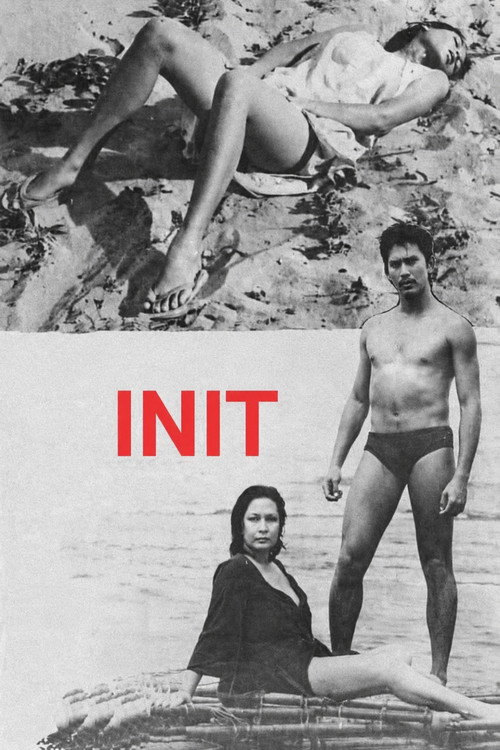 Init (1979) poster