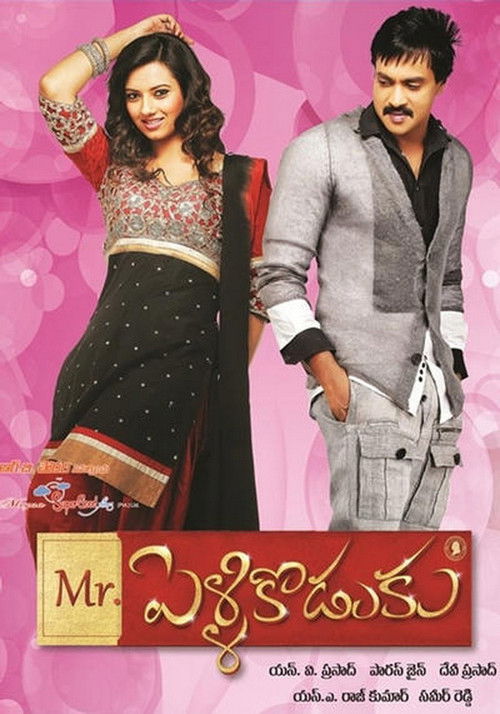 మిస్టర్ పెళ్ళికొడుకు (2013) poster