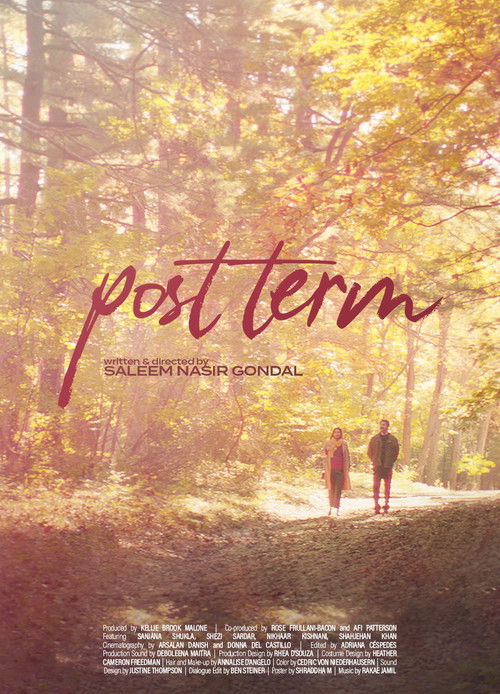 Post Term (2023) poster