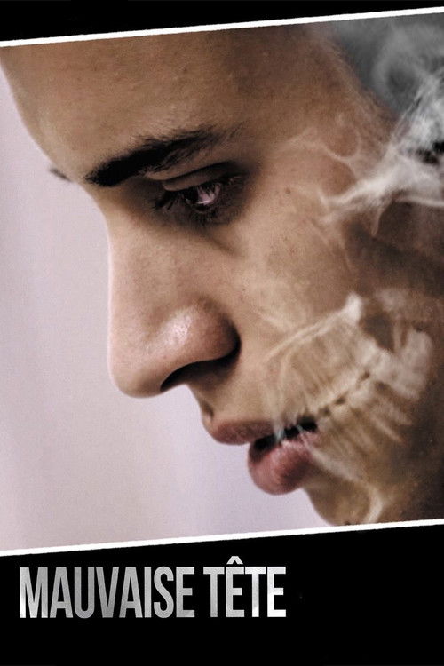 Heady Stuff (2014) poster