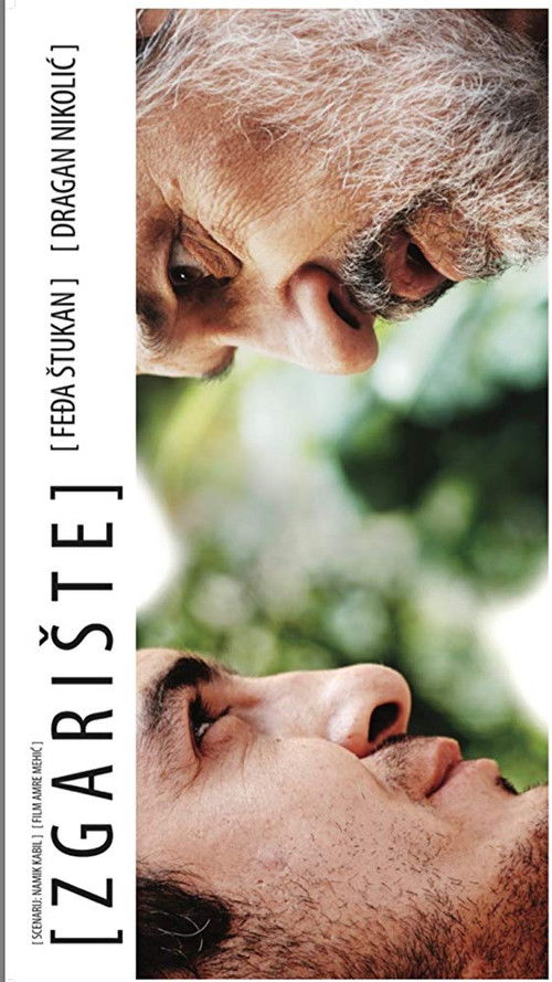 The Ruin (2009) poster