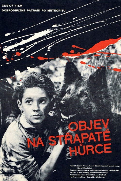 Objev na Střapaté hůrce (1962) poster
