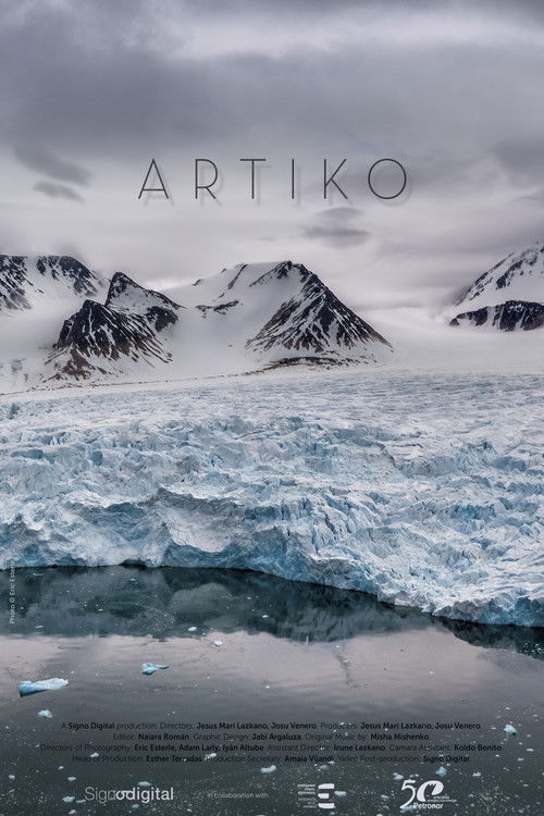 Arctic (2019) poster