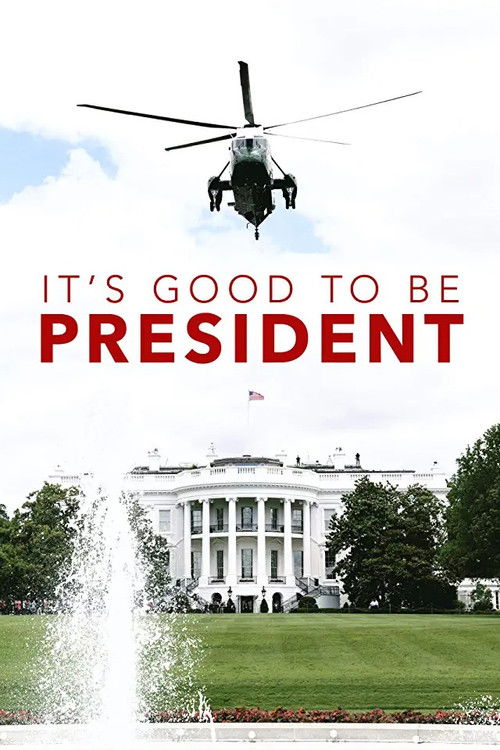 It's Good to Be the President (2011) poster