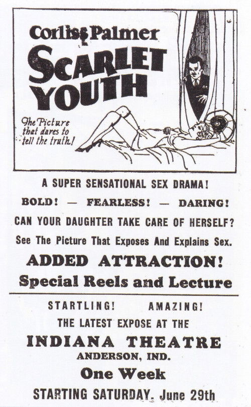 Scarlet Youth (1928) poster