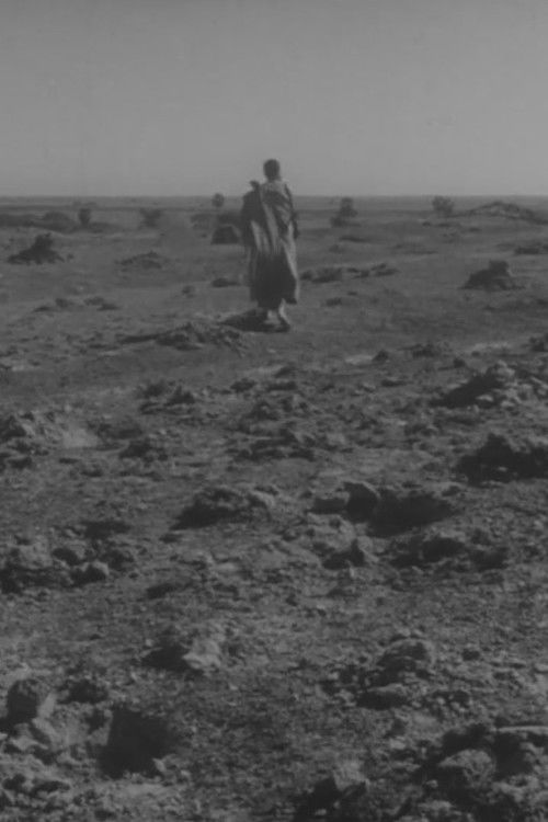 Samurais, Famílias e uma Harpa da Birmânia - Os Cinemas da Liberdade (2017) poster