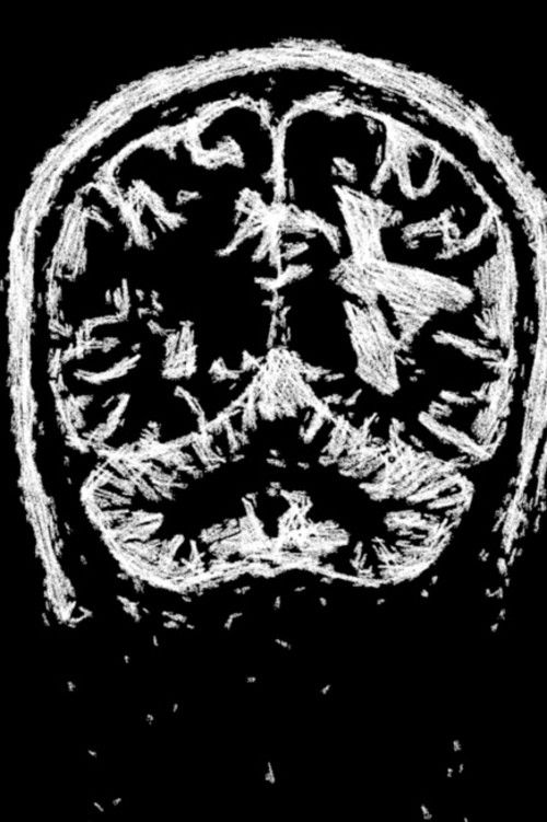 The Long Coming of the Fire (2024) poster