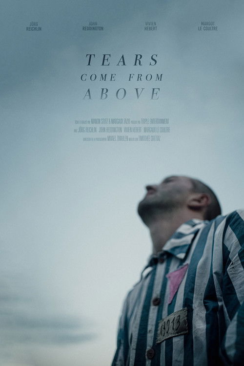 Tears Come from Above (2023) poster