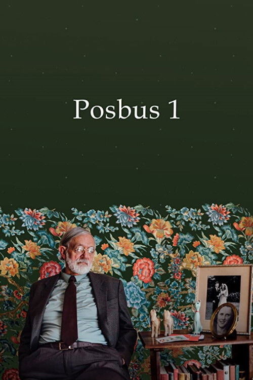 Posbus 1 (2019) poster