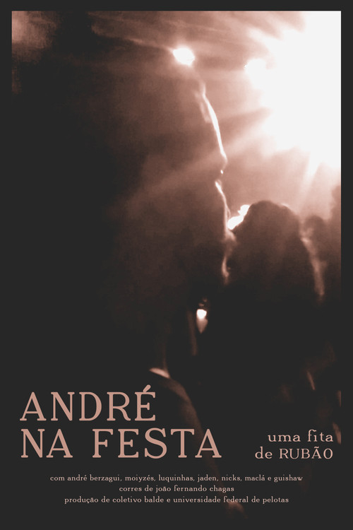 André na Festa (2019) poster