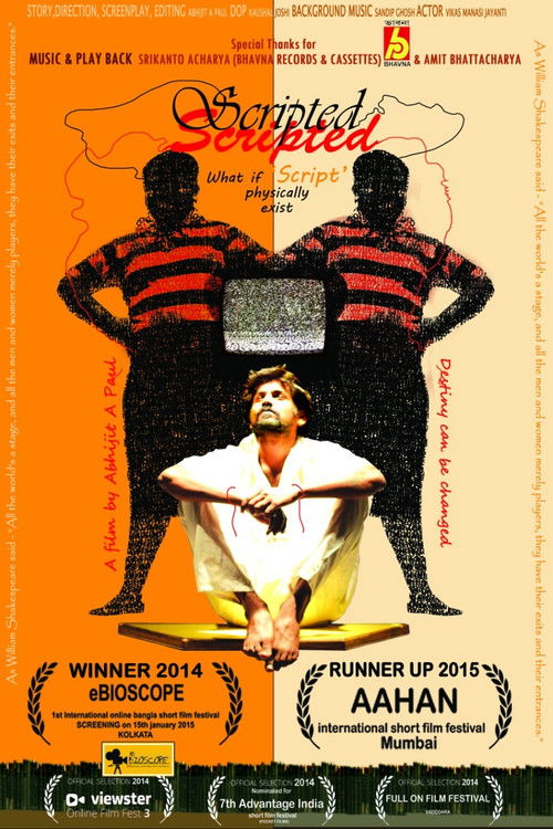 Scripted Short Film (2014) poster
