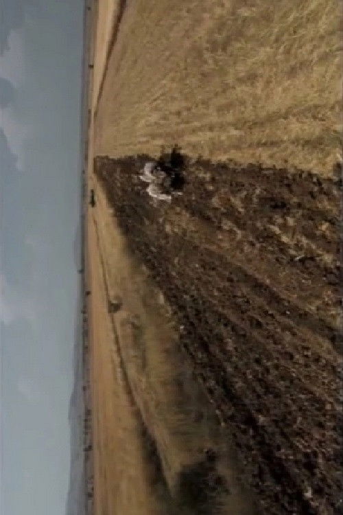 Години на самотија (2005) poster