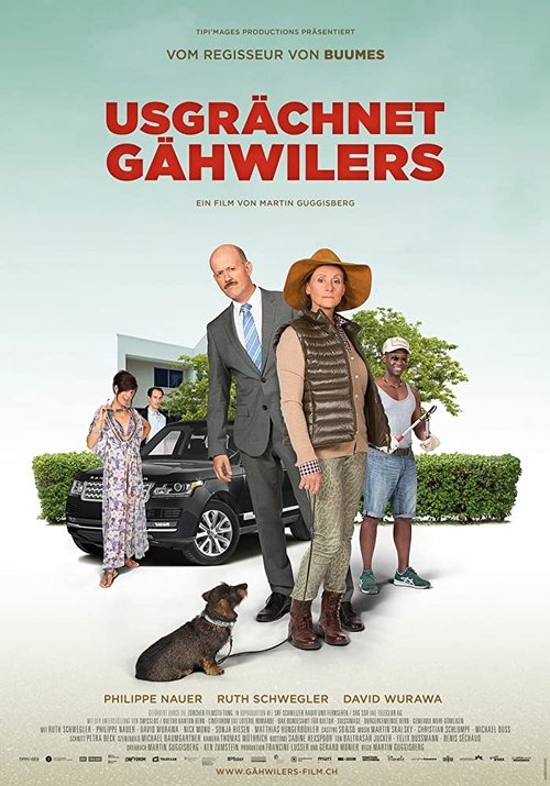 Meet The Gähwilers (2017) poster