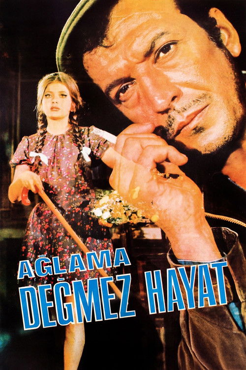 Ağlama Değmez Hayat (1969) poster