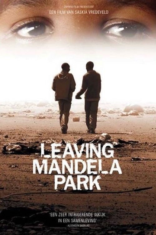 Leaving Mandela Park (2010) poster