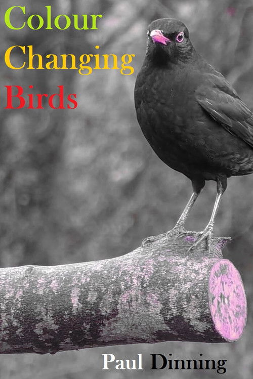 Colour Changing Birds (2023) poster