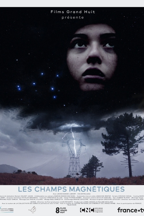 Les champs magnétiques (2021) poster