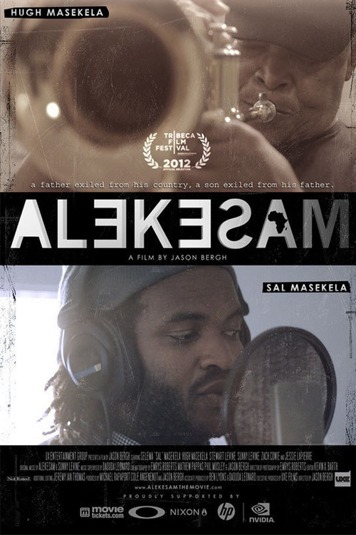 Alekesam (2013) poster