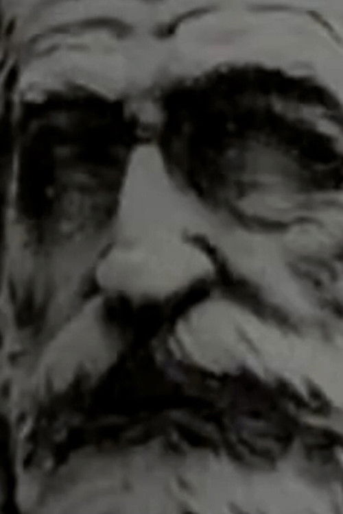 Di Verdi Si Muore (2001) poster