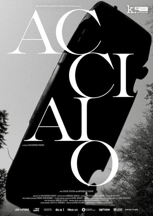 Acciaio (2024) poster