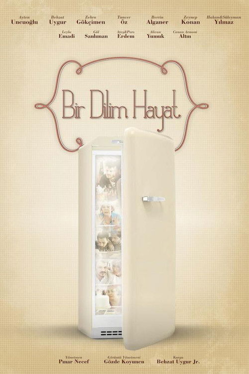 Bir Dilim Hayat (2012) poster