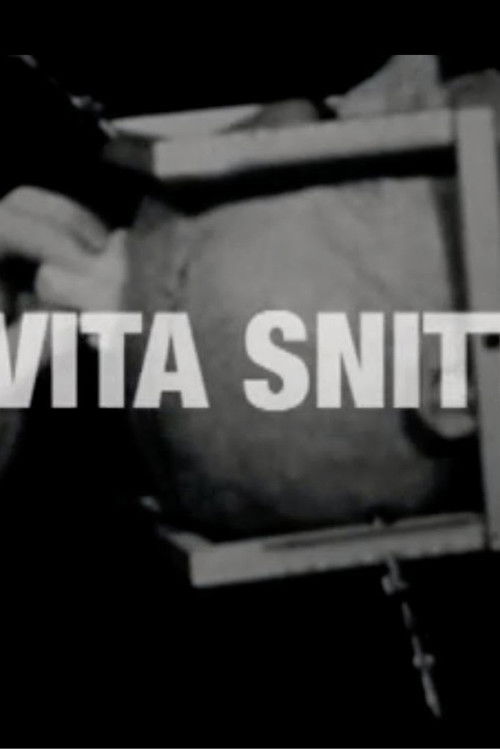 Det vita snittet (2010) poster