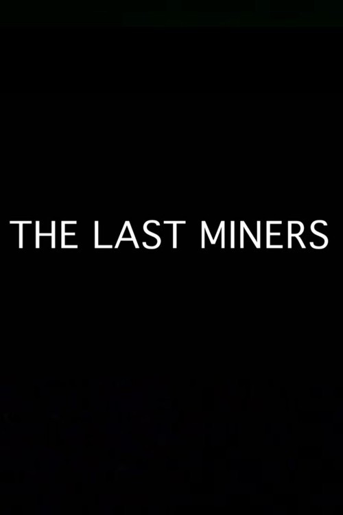 The Last Miners (2016) poster